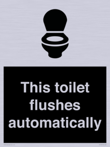 This toilet flushes automatically